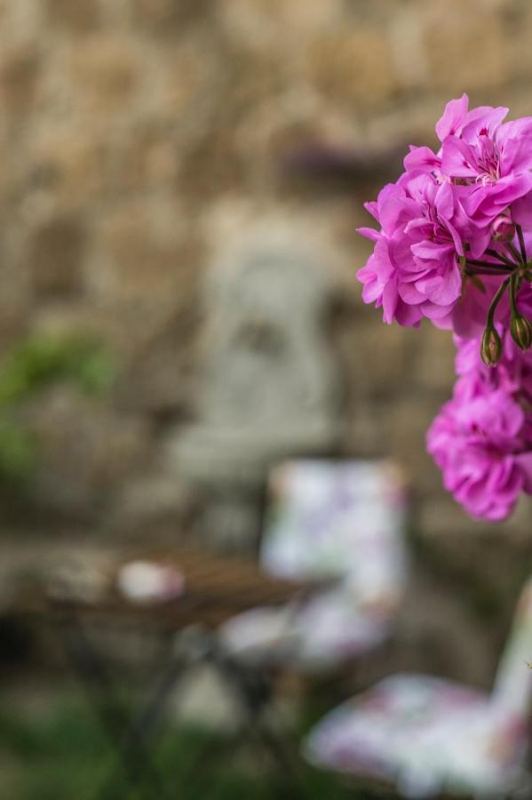 B&B Etruscan Garden Сутри Екстериор снимка