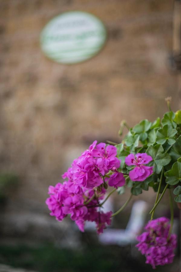 B&B Etruscan Garden Сутри Екстериор снимка