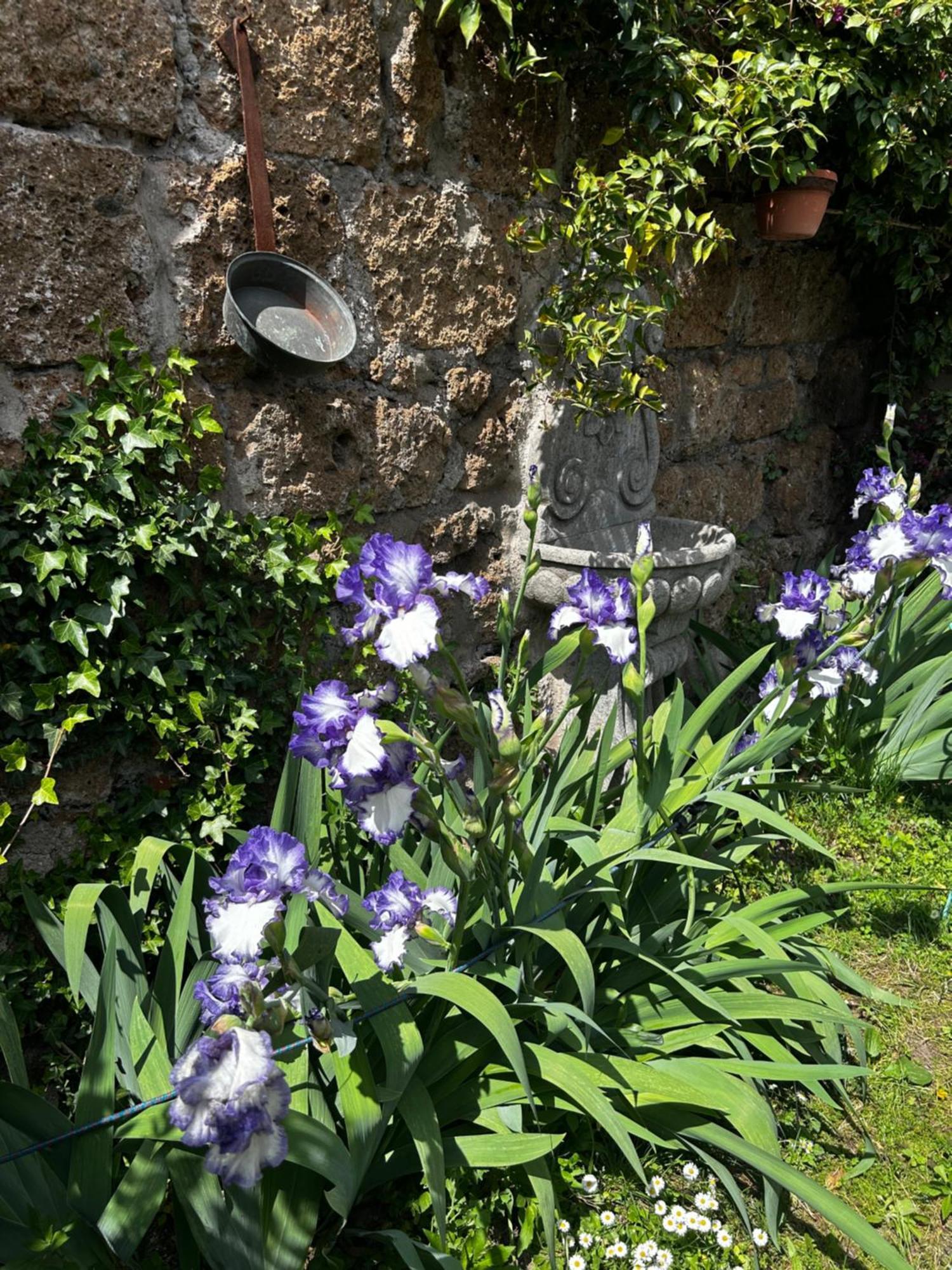 B&B Etruscan Garden Сутри Екстериор снимка